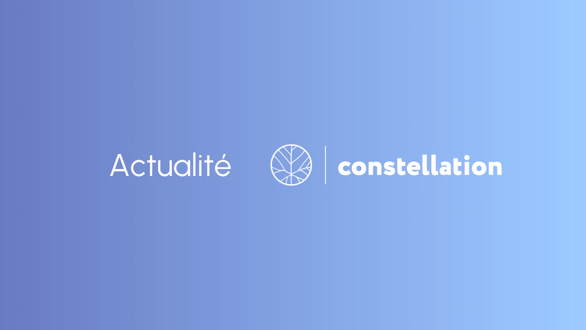 Webinar : retour d’expérience Constellation : Bilan Carbone d’une ESN
